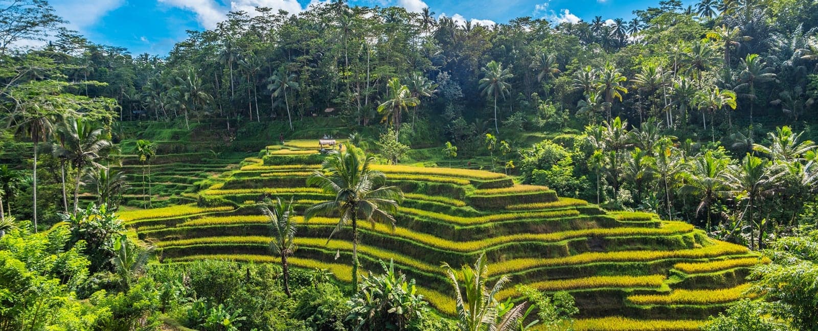 Ubud