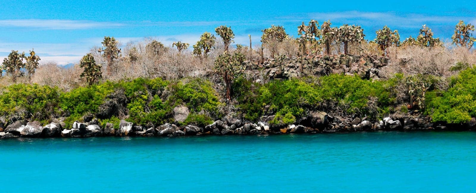 Isabela Island - Santa Cruz Island, Galapagos
