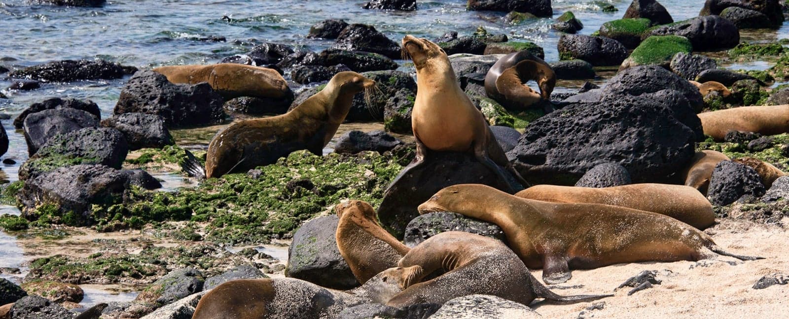 Santa Cruz Island - San Cristobal Island, Galapagos