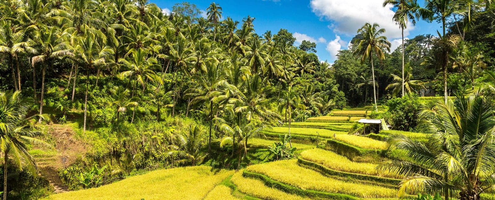 Ubud