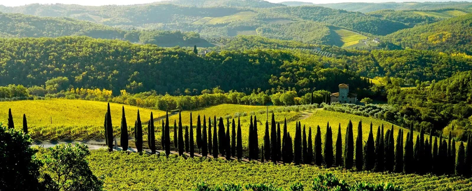 Montecatini - Chianti - Siena - Rome