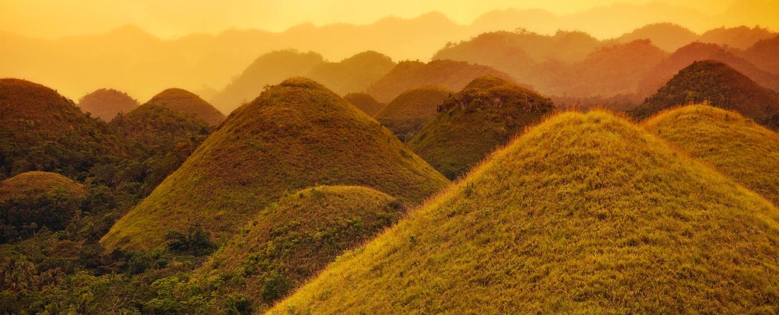 Bohol