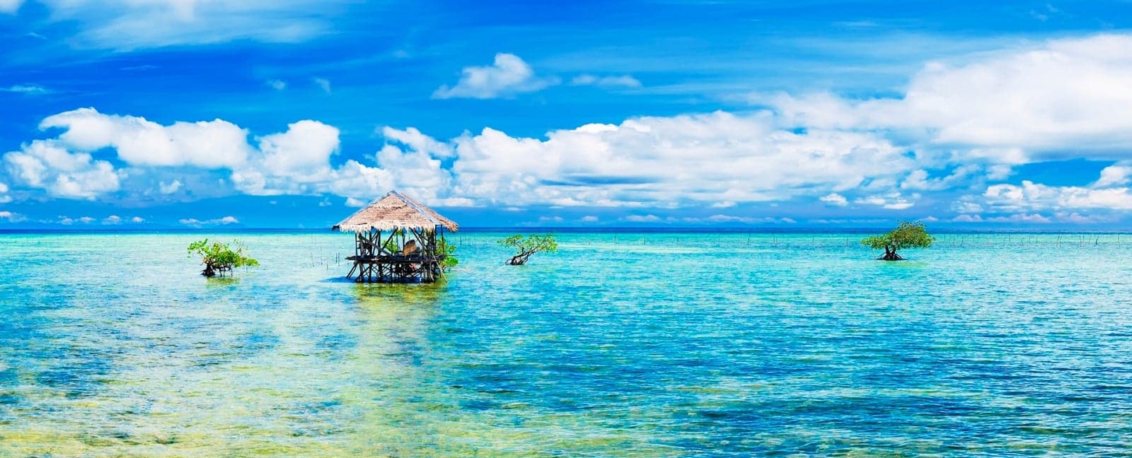 Bohol