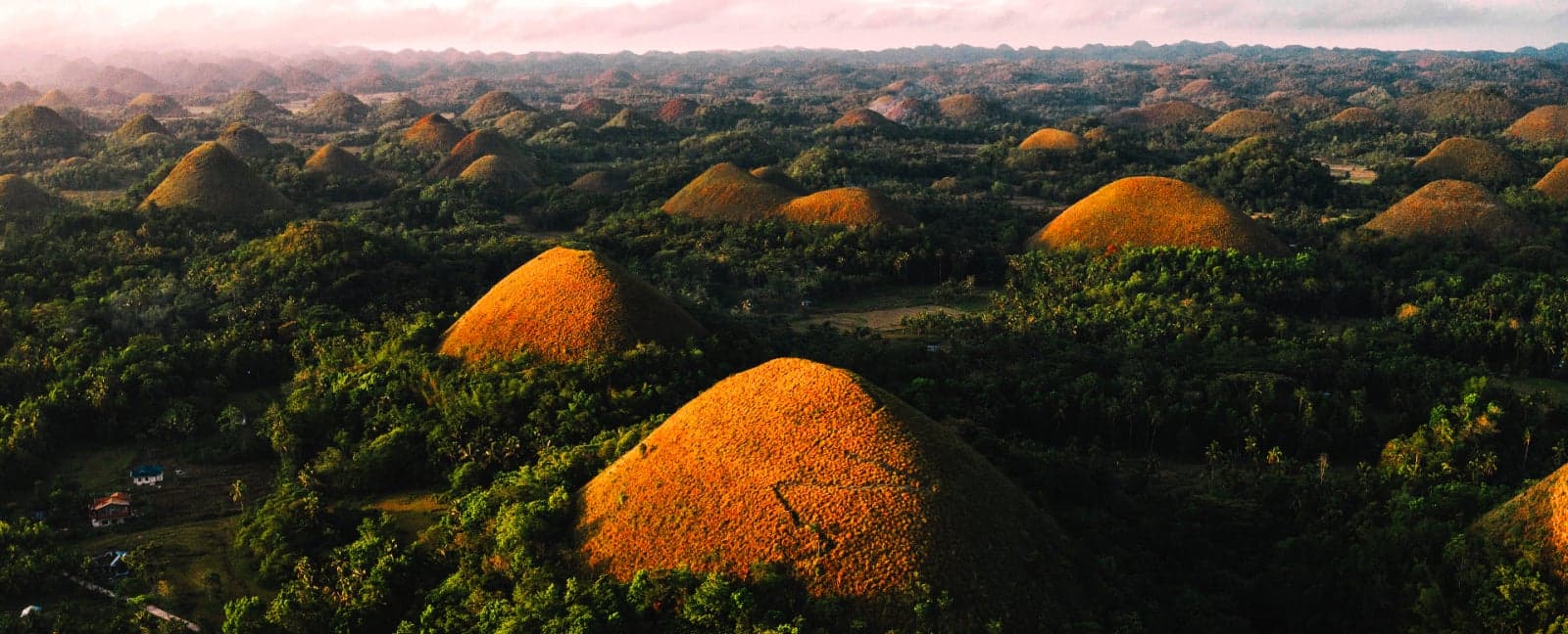 Bohol