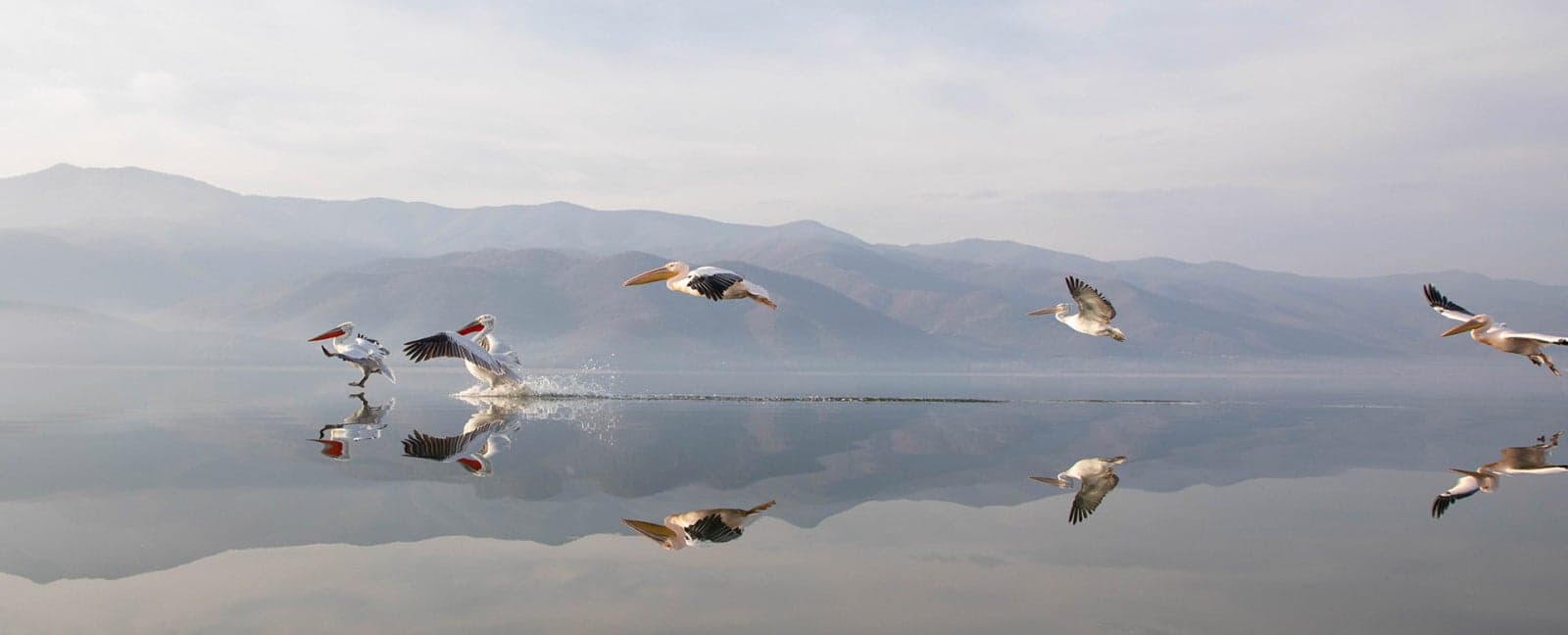 Thessaloniki - Kerkini Lake National Park - Bansko Pirin National Park