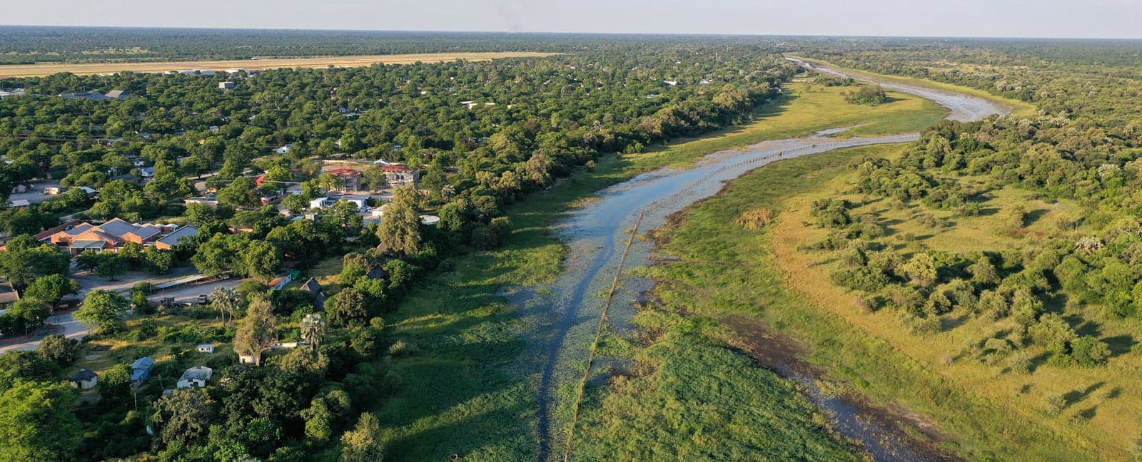 Maun