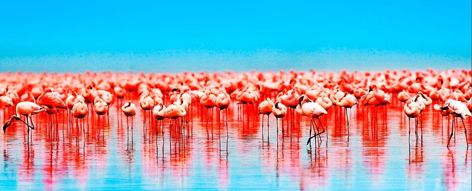 Aberdares - Nakuru