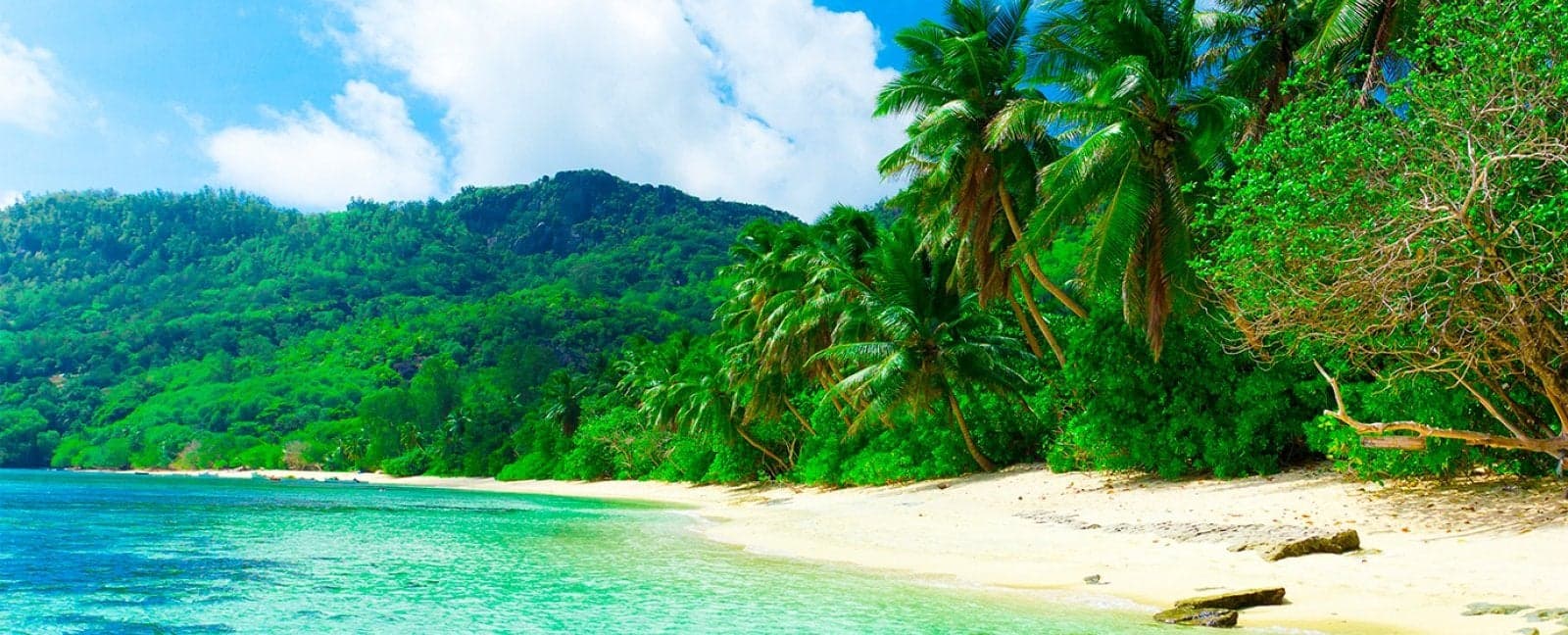 Manuel Antonio