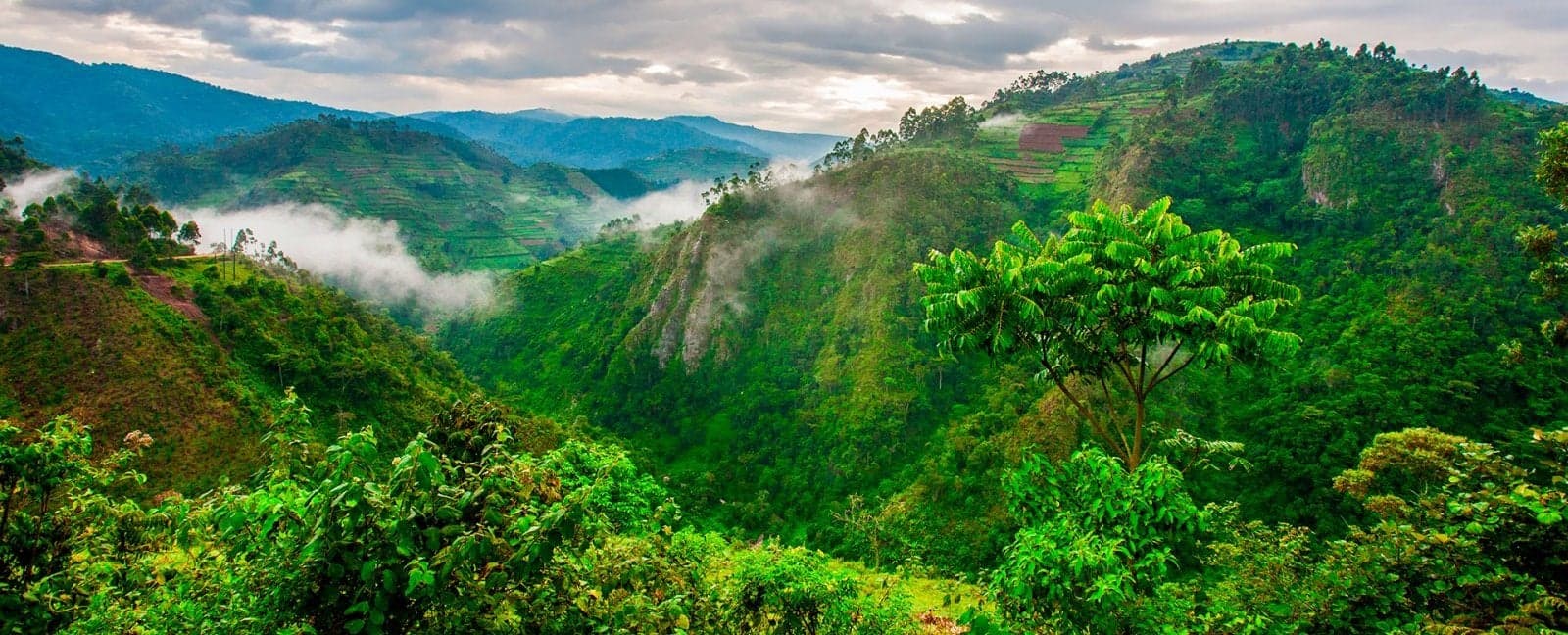 Lake Mburo National Park