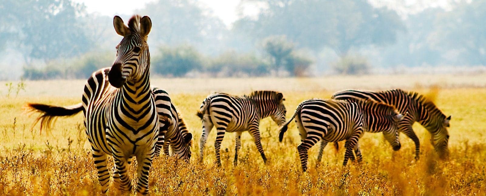 Kruger National Park