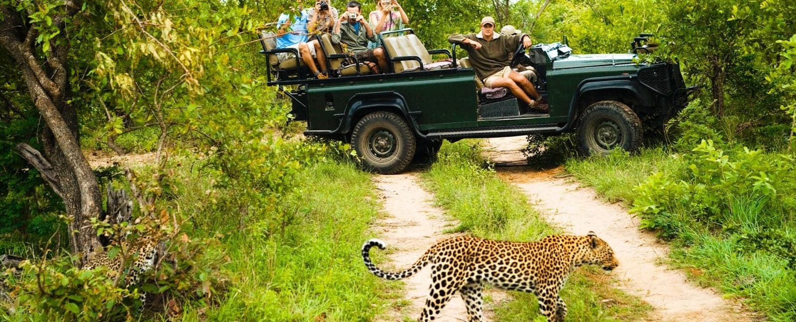 Kruger National Park