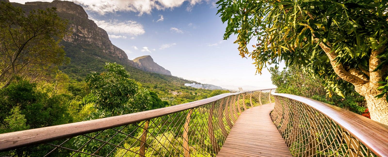 Cape Town