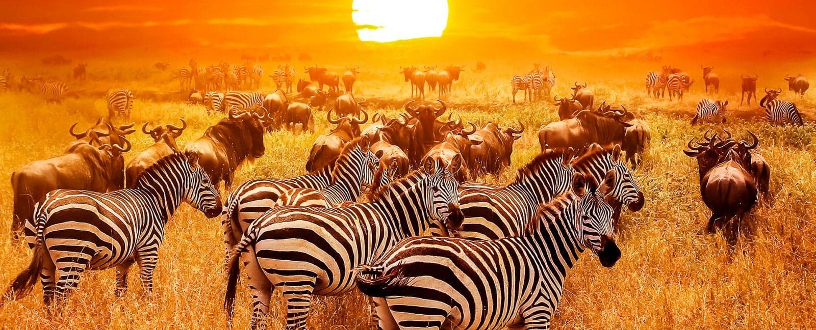 Johannesburgo - Mpumalanga - Parque Nacional Kruger