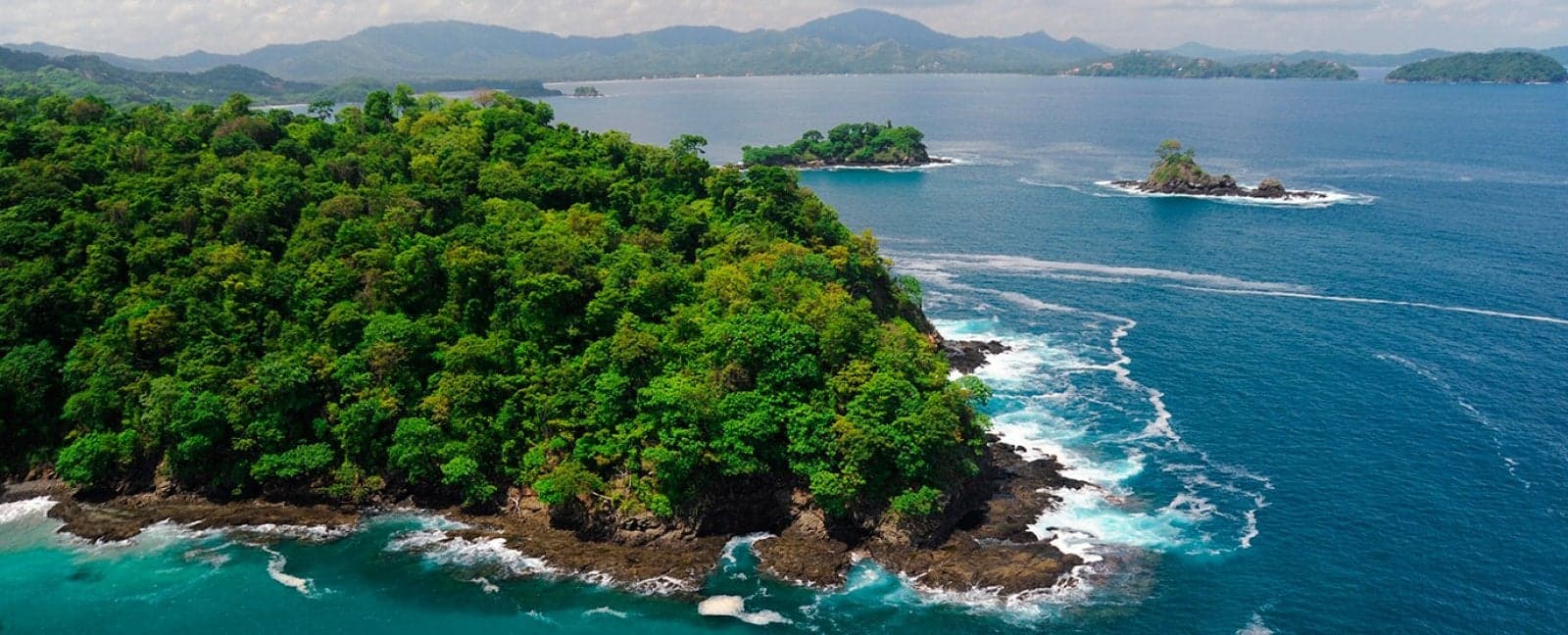 Tamarindo