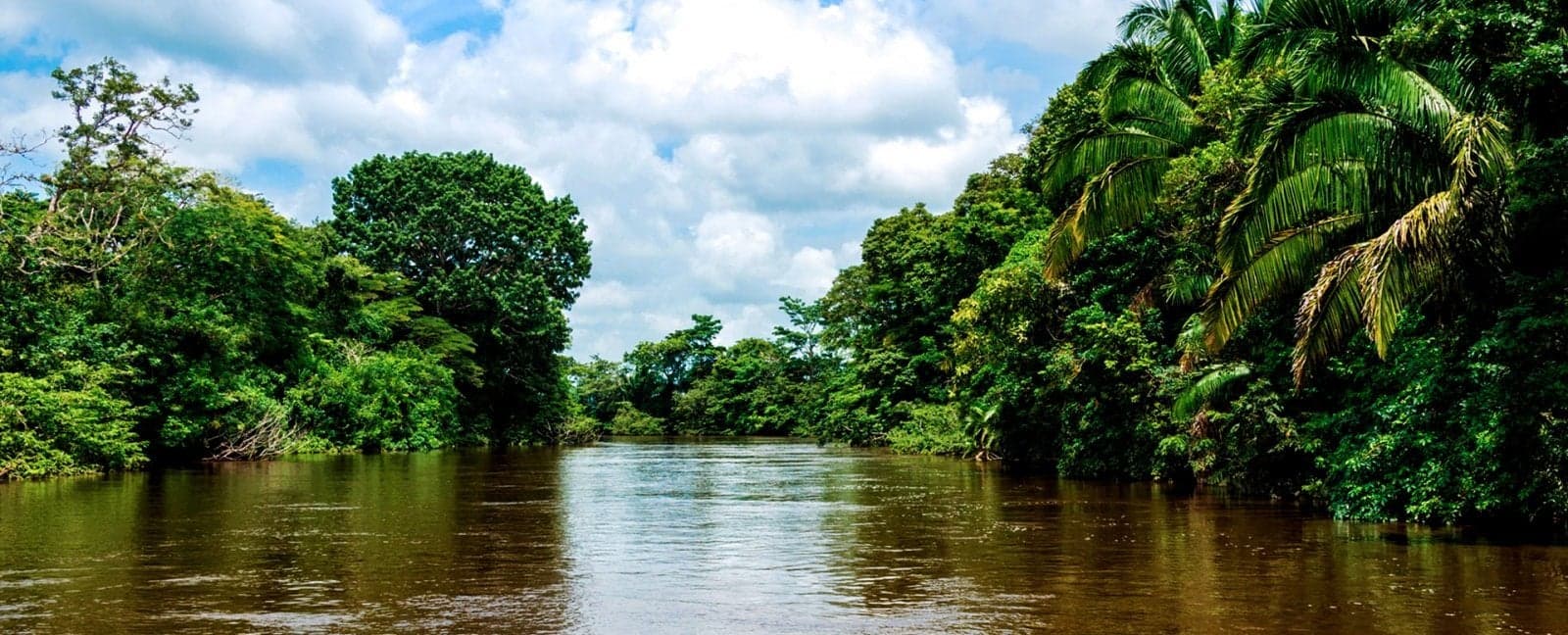 San José - Tortuguero