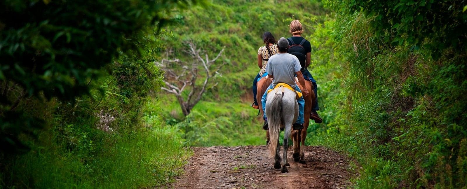 La Fortuna - Arenal