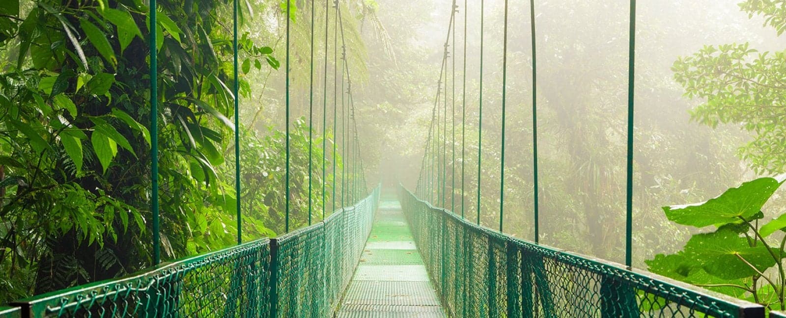 Monteverde