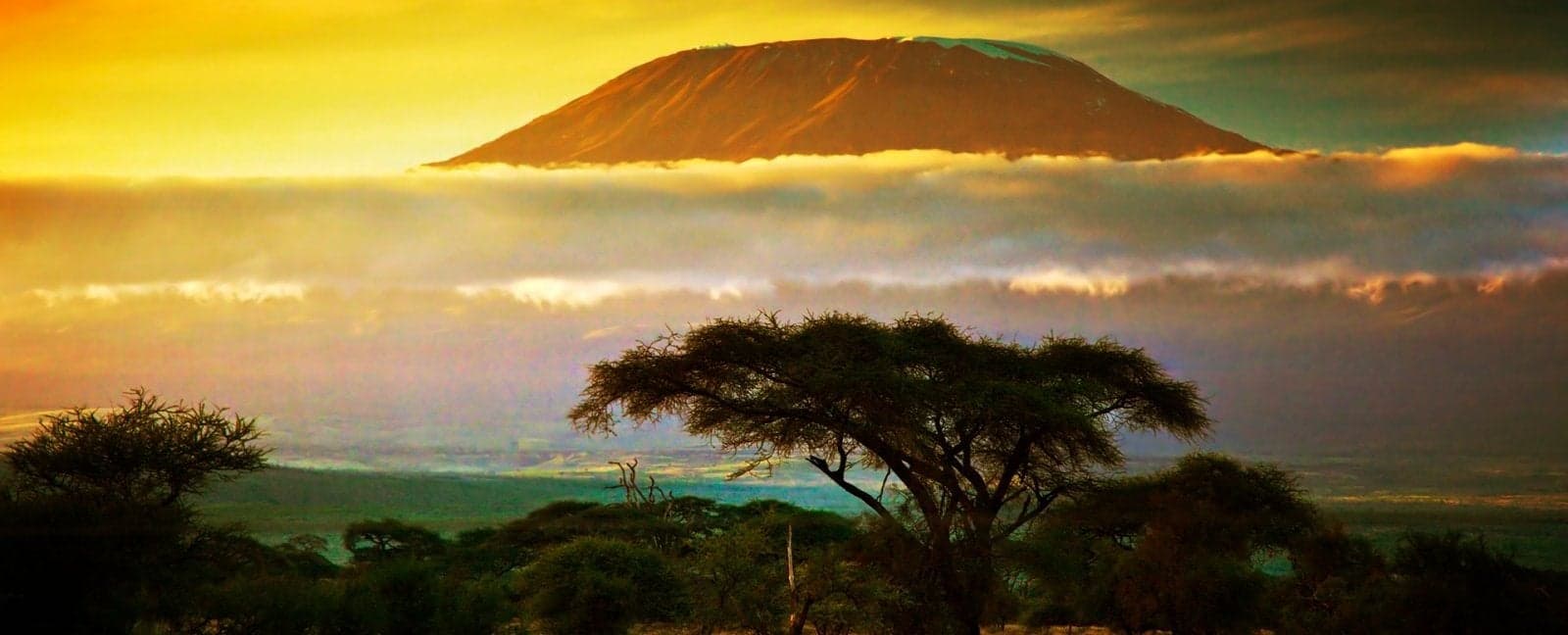 Nairobi - Parc National d'Aberdare