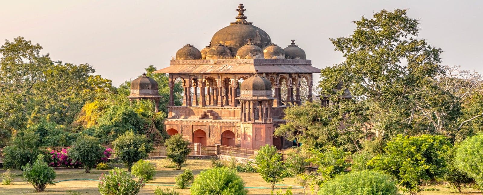 Ranthambore - Delhi