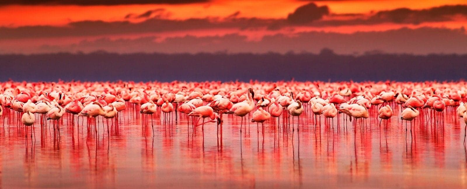 Aberdares - Lake Nakuru