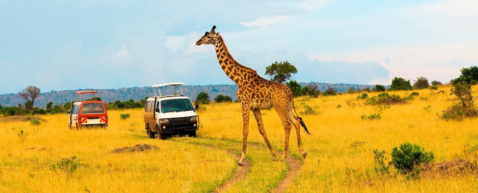 Maasai Mara