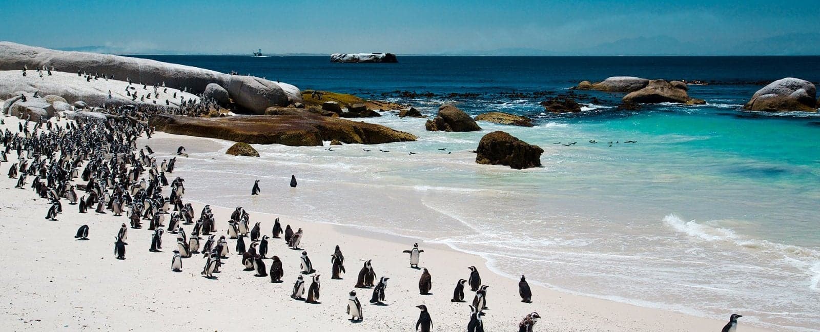 Cape Town - Victoria Falls
