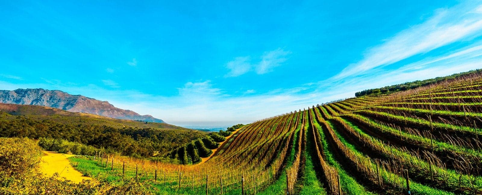 Cape Town