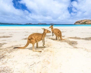 travel to Australia