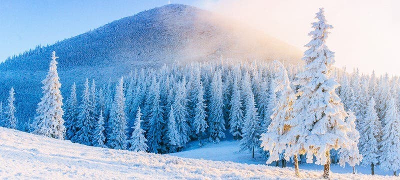Top 8 winter trips  What to do during the winter? - Exoticca Blog