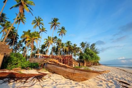 what to do in Zanzibar