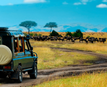 best African safaris and wildlife tours
