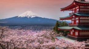 Olympische Spiele 2020 in Tokio: Japan entdecken