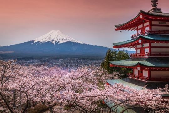 Olympische Spiele 2020 in Tokio: Japan entdecken