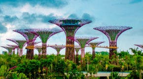Die Beste Reisezeit für Singapur