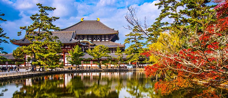 Die Beste Reisezeit für Japan: Wann ist es am schönsten? - Exoticca