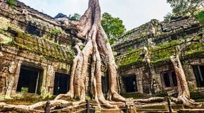 encanto de los templos de angkor