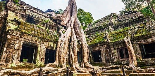 encanto de los templos de angkor
