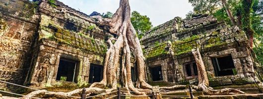 encanto de los templos de angkor