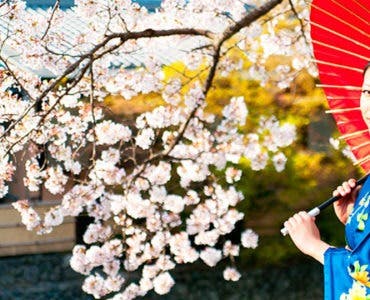 Costumbres japonesas a tener en cuenta al visitar el país del sol naciente