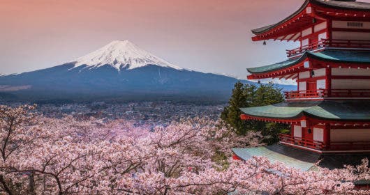 Juegos olímpicos 2020 en Tokio | Descubre Japón