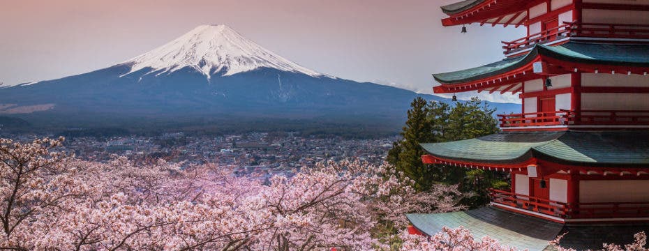 Juegos olímpicos 2020 en Tokio | Descubre Japón