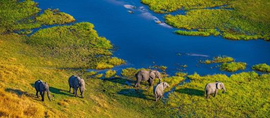 Quand partir au Botswana