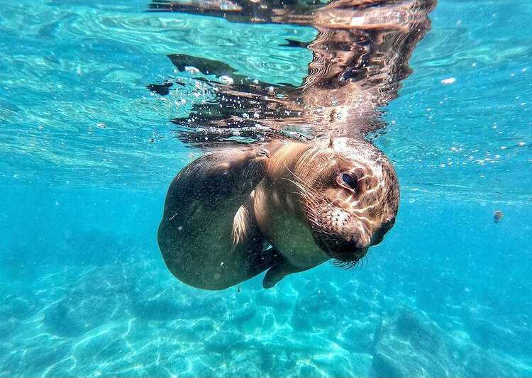 The Ecuador & Galapagos trip was a fabulous experience