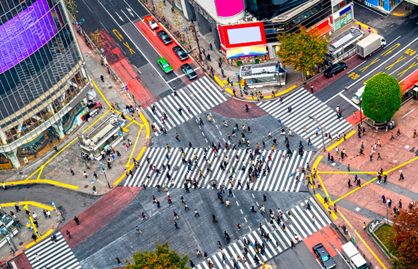 Travelers exploring Shibuya in Tokyo on a guided walking tour