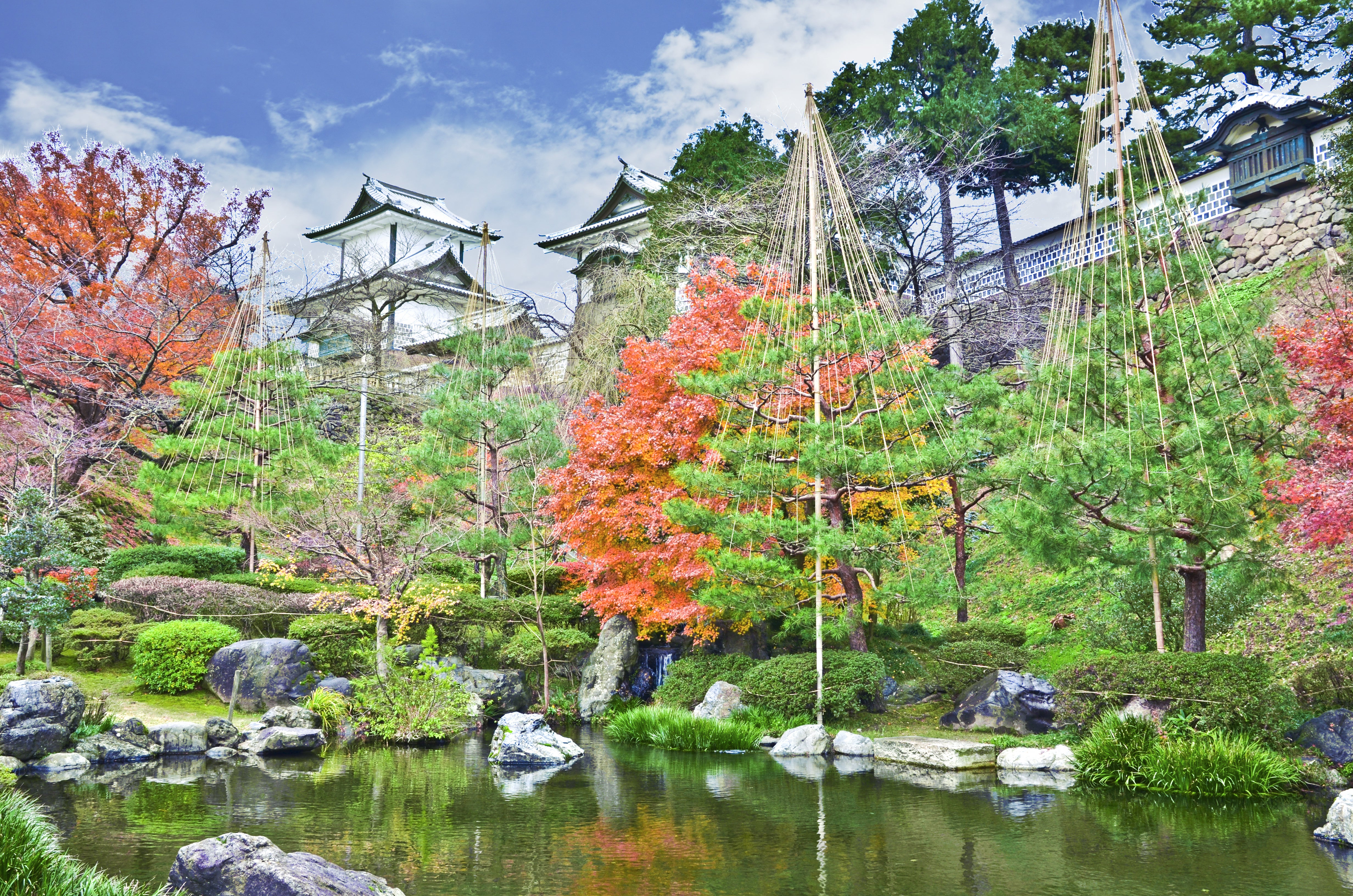 Espero volver a viajar con vosotros