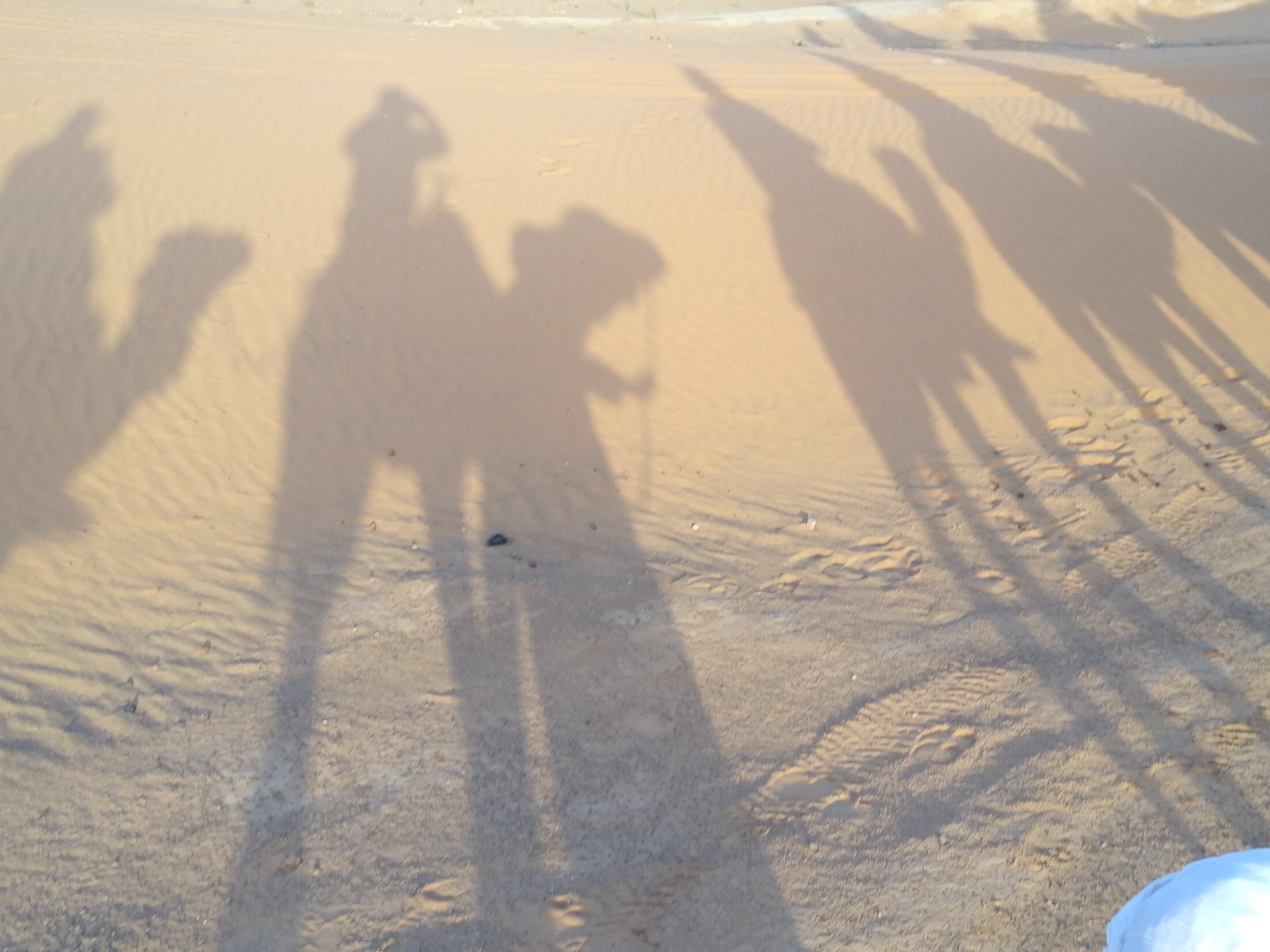 Exoticca travel is top notch…