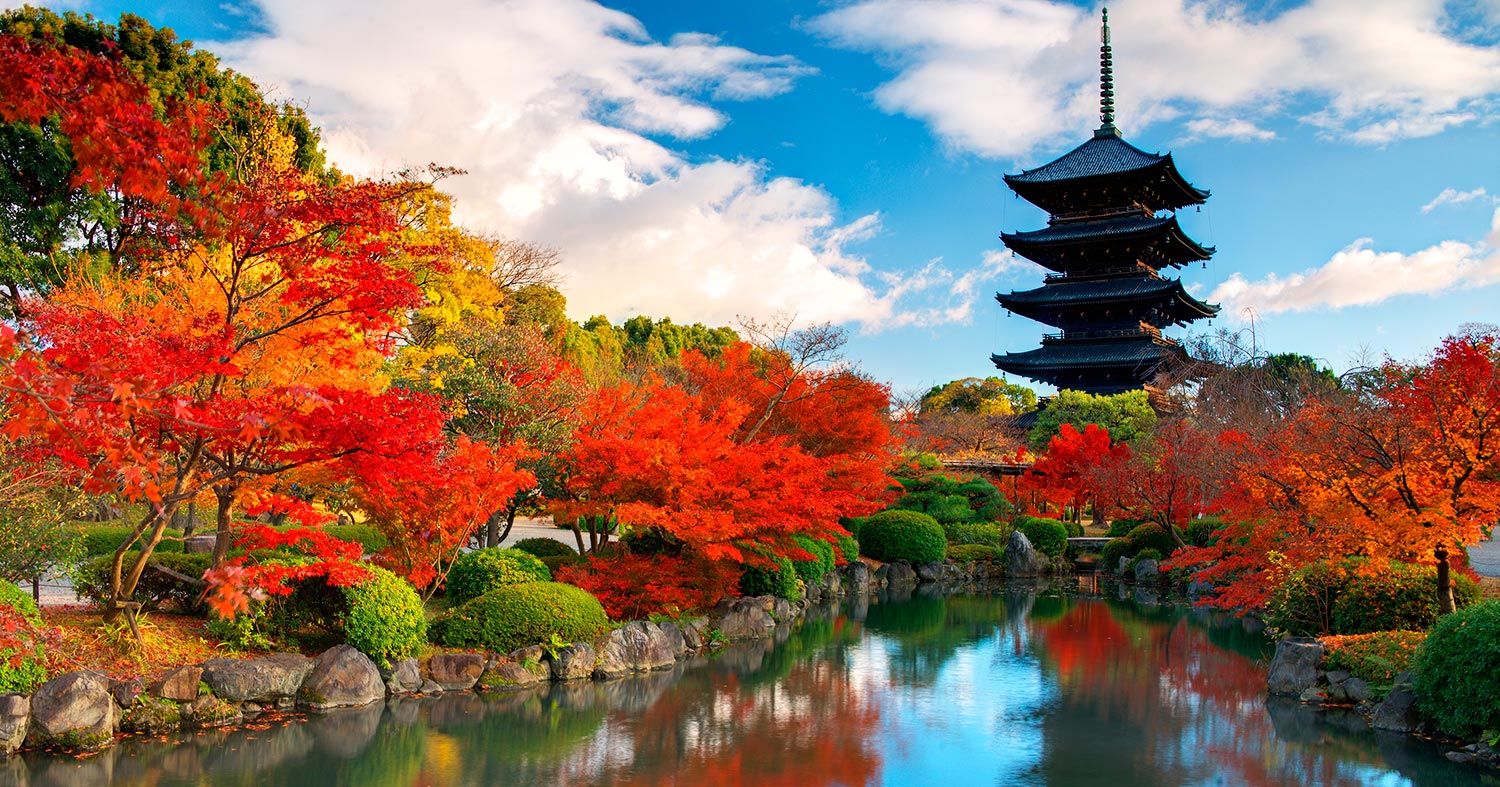 A brilliant cultural experience