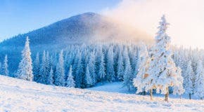 Top 8 winter trips What to do during the winter