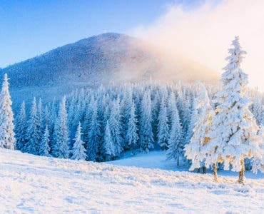 Top 8 winter trips What to do during the winter
