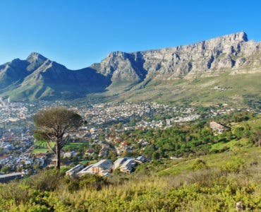 what to see in cape town